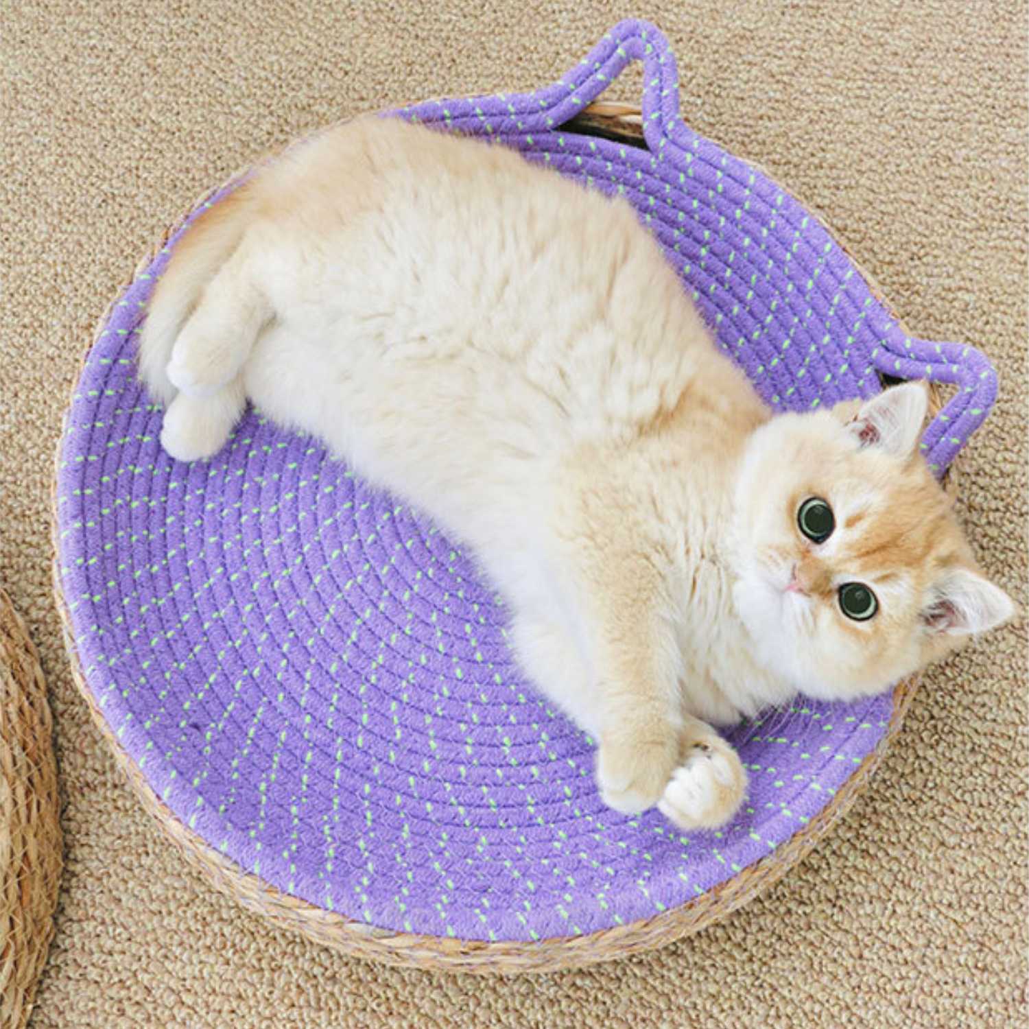 kattenbed groot rattan paars ronde mand met katvorm oren en kat